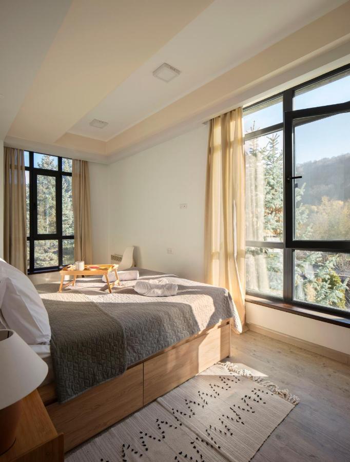 Modern In With Great View Apartment Dilijan